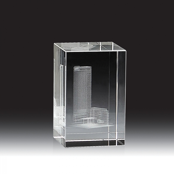 3D레이저 문진 HB-3242